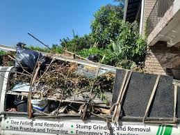 Best Property Management Cleanouts  in Mack, OH